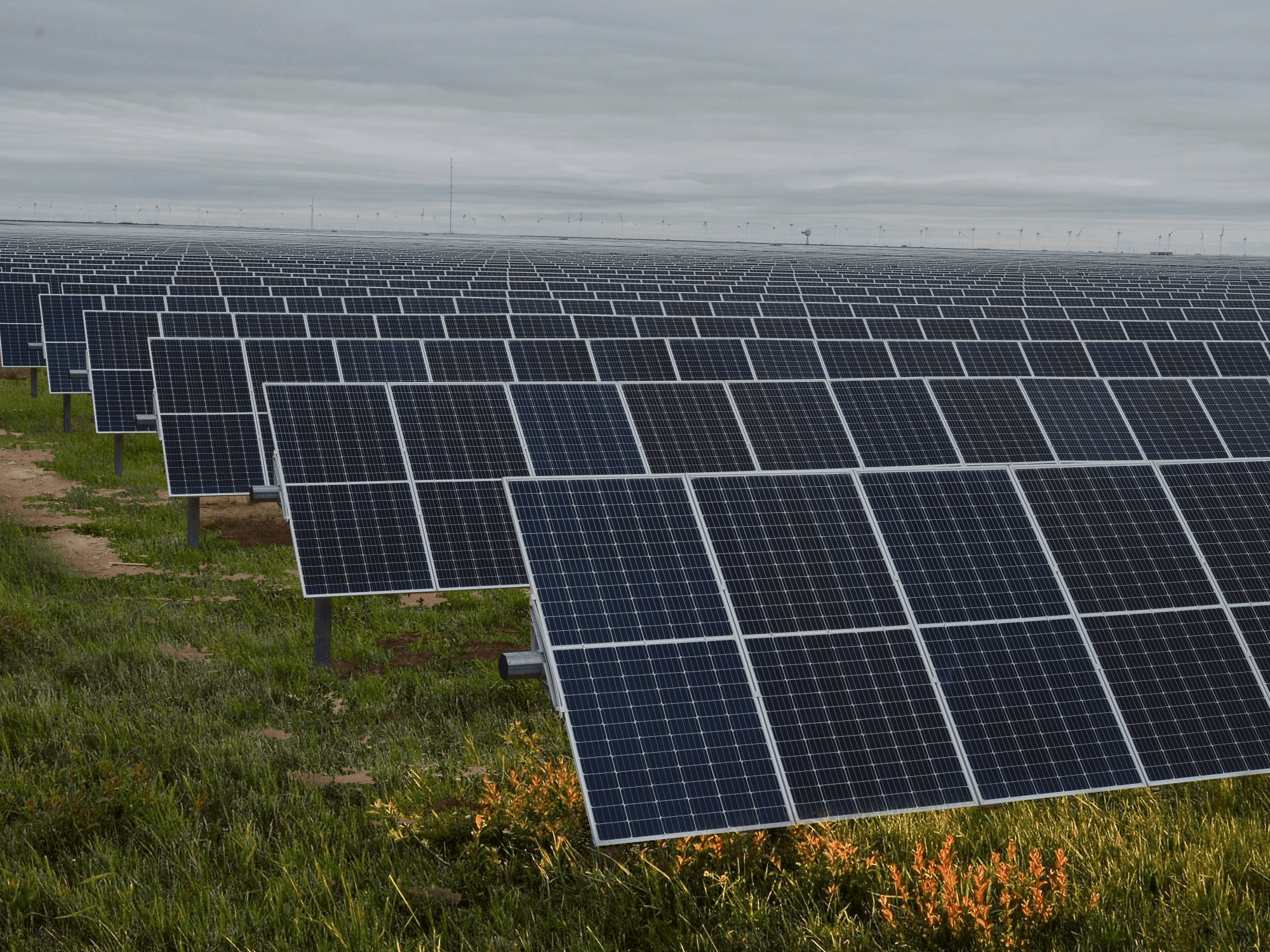 Ground Mounted Solar Plant India: Cost & PPA Guide