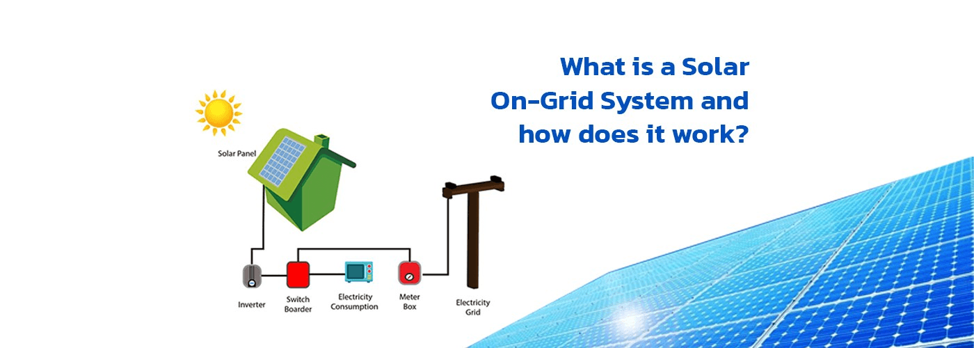 image - 2026-02-23T123520.066